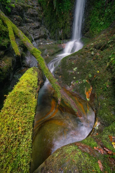 Mossy Tree Trunks Fallen Pools Generated Waterfall Courel Mountains Unesco — Foto de Stock