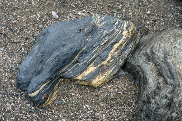 Slate stone with fine veins of golden pyrite on a beach under the Loiba cliffs in Espasante Galicia