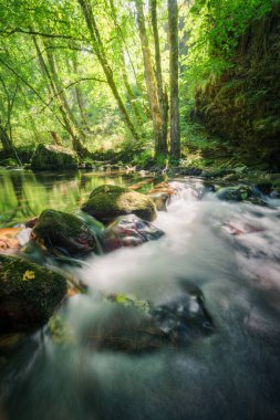 Eylül sabahı Courel Dağları 'ndaki bir nehirde Lugo Galiçya' daki Unesco Geopark