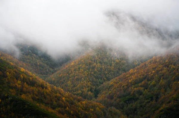 Der Herbst Erleuchtet Die Farben Der Wälder Den Ausläufern Der — Stockfoto