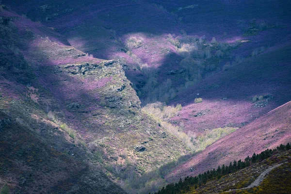 コレル山脈のオリビオ山脈の南谷における優れた春の色 Unesco Geographia Lugo Galicia — ストック写真