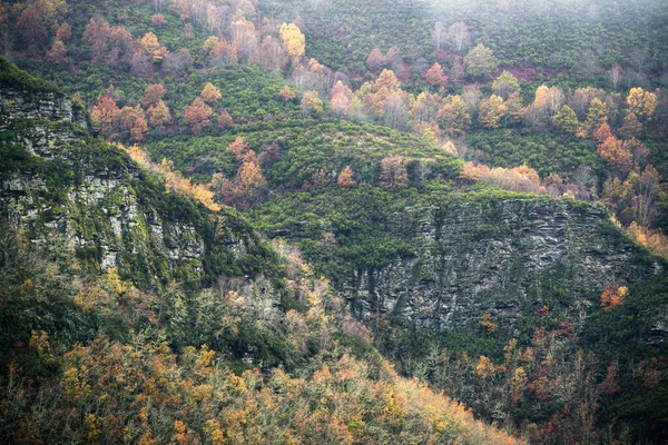 Wśród Zielonych Zarośli Klifach Łupkowych Górach Courel Pojawiają Się Kolorowe — Zdjęcie stockowe