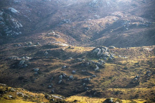 Ausgedehntes Feld Aus Granitsteinen Verstreut Zwischen Sanften Hügeln Xistral Gebirge — Stockfoto