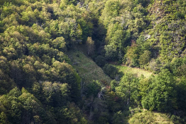 Spätsommerliche Atmosphäre Den Wäldern Und Wiesen Der Serra Dos Ancares — Stockfoto