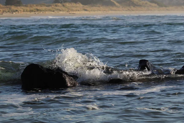 Tembakan Jarak Dekat Dari Ombak Laut Yang Indah Pantai — Stok Foto