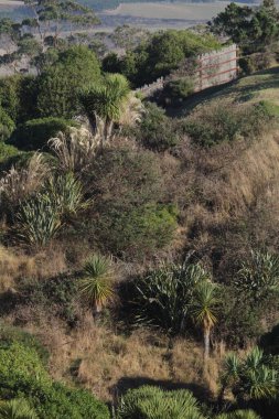 Doğanın güzel manzarası