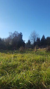 Alan ile güzel manzara