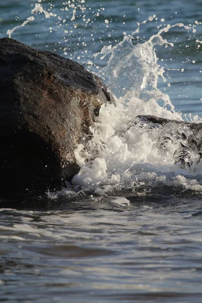 Sudaki deniz dalgaları
