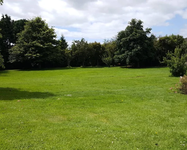 Pelouse Verte Explicative Avec Ciel Nuageux Blanc Dans Parc Chêne — Photo