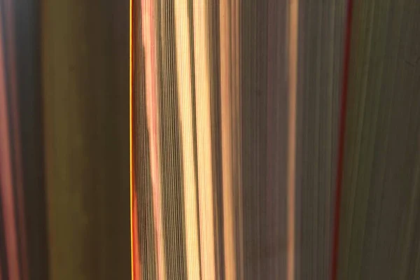 Yeni Zelanda keten yaprağının güçlü sarı çizgili soyut grafiği veya harakeke. Soyut geometrik arkaplan resmi. 