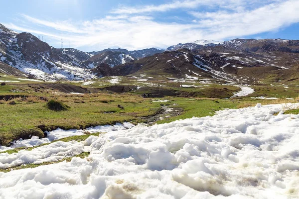 sheep grazing on the mountain pasture on the background of the mountains and snow.  in moroccan atlas mountains , tichka