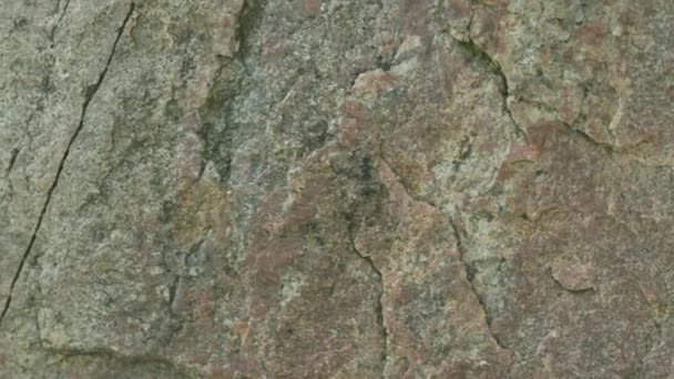 Rock Surface Close Raw Granite Texture — Stock Video