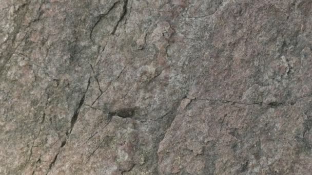 Rotsoppervlak Van Dichtbij Ruwe Granieten Textuur — Stockvideo