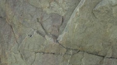 Kırık granit taş yüzeyi. Güneşteki granit kaya. Ekolojik kavram