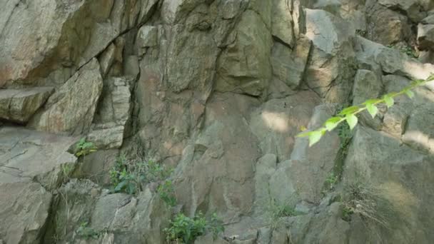 Gebarsten Granieten Stenen Oppervlak Granieten Rots Zon Ecologisch Concept — Stockvideo