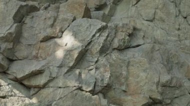 Granit kayalıklarda hareket var. Açık havada granit taşın dokusu. Çatlak doğal taş.