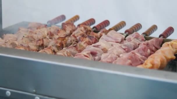 Barbecue Viande Sur Brochettes Brochettes Rotatives Automatiques Viande Tournant Sur — Video