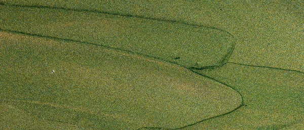 Groene Glitter Textuur Achtergrond Met Penseelstreken Van Glanzende Olieverf Sprankelend — Stockfoto