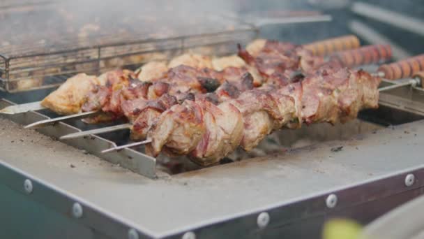 Barbecue Viande Rôtie Sur Brochettes Griller Kebab Porc Sur Des — Video