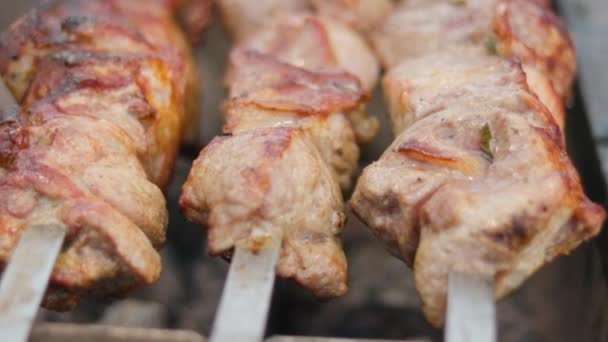 串焼きに肉を炒めバーベキュー バーベキューの串焼きに豚肉のケバブを焼く ストリートフード — ストック動画