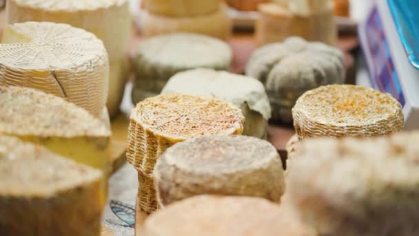 许多不同类型的奶酪 展会期间 一排排的奶酪放在柜台上 后续行动 — 图库视频影像