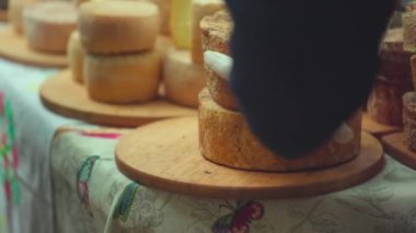 Çok farklı peynir çeşitleri. Panayır sırasında peynir çarkları tezgahın üzerinde yatıyor. Yakın plan.