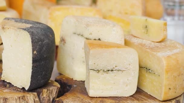 Viele Verschiedene Käsesorten Reihenweise Liegen Während Der Kirmes Käseräder Auf — Stockvideo