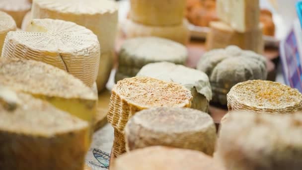 農家の市場で新鮮な高齢者のヤギチーズ ヤギのチーズと地元の製品 テーブルの上に穴と型チーズとハードチーズ — ストック動画