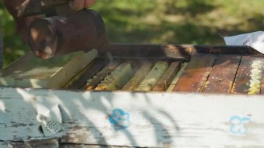 Apiarist arıları arı kovanında arıları incelemeden önce bir arı içicisiyle sakinleştirir. Arı kovanının girişinde bal çıkarmak için arıları sakinleştirmek için arı kovanı dumanı kullanan arıcı. Yakın plan.