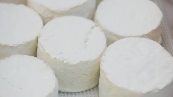 Camembert Käse Auf Der Theke Camembert Brie Käse Einem Transparenten — Stockvideo