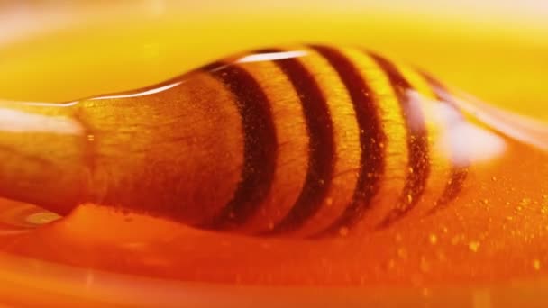 木製の棒を閉じる上で蜂蜜 木製の棒をガラスのボウルに蜂蜜に浸します 養蜂の概念 — ストック動画