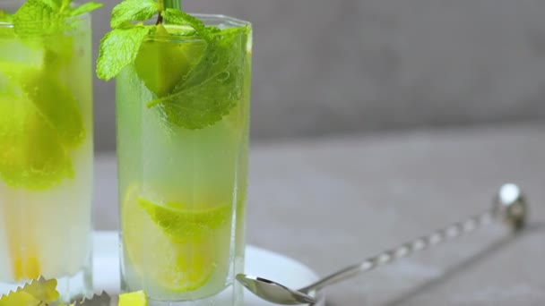 Two Glasses Mojito White Plate Summer Tropical Cocktail Bar Accessories — Stockvideo