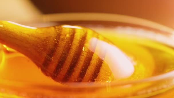 浓密的蜂蜜滴在木棍上 蜂蜜从木制蜂蜜棒中倒入玻璃碗 健康的有机蜂蜜滴 — 图库视频影像