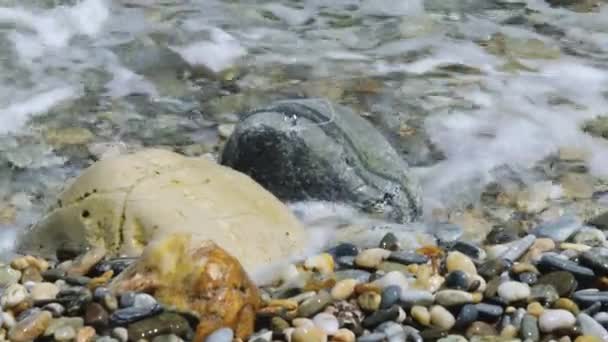 Waves Roll Pebbles Sea Waves Pebbles Close Rocky Seashore Sunny — Video Stock