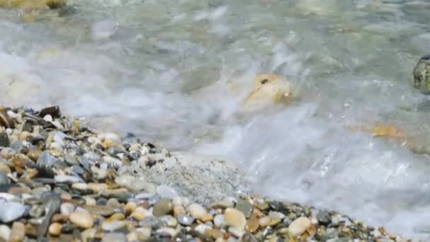 Waves Roll Pebbles Sea Waves Pebbles Close Rocky Seashore Sunny — Vídeo de Stock