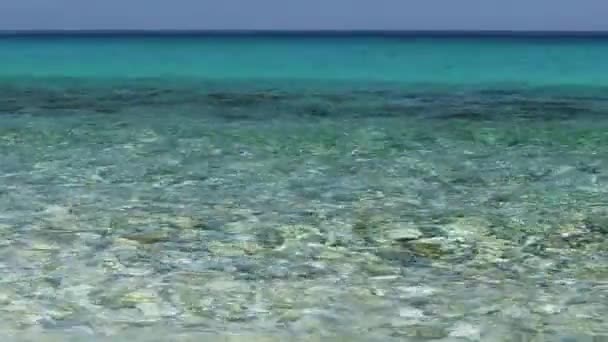 Transparent Sea Surface Sea Water Turquoise Shades Horizon Clean Water — Wideo stockowe