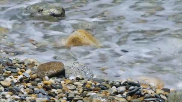 Sea Water Waves Polishing Pebbles Stones Coastline Pebble Beaches Clear — Stock videók