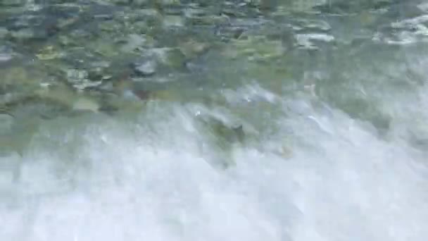 Waves Pebble Beach Clear Water Waves Flowing Pebble Beach Shore — Wideo stockowe