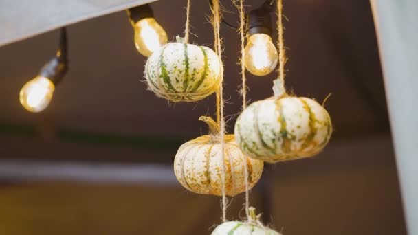 Small Pumpkins Hanging Rope Decorative Pumpkins Burning Light Bulbs Halloween — Stock Video