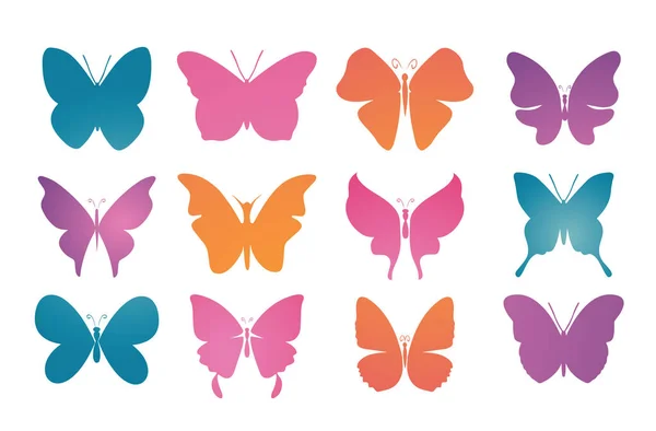 Icono Conjunto Contorno Mariposa — Archivo Imágenes Vectoriales