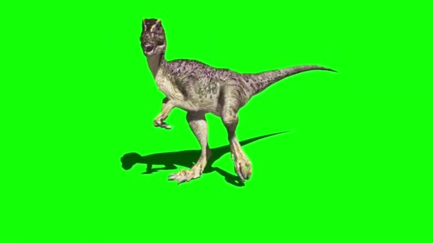 Raptor Dinosaurio Croma Clave Pantalla Verde — Vídeo de stock