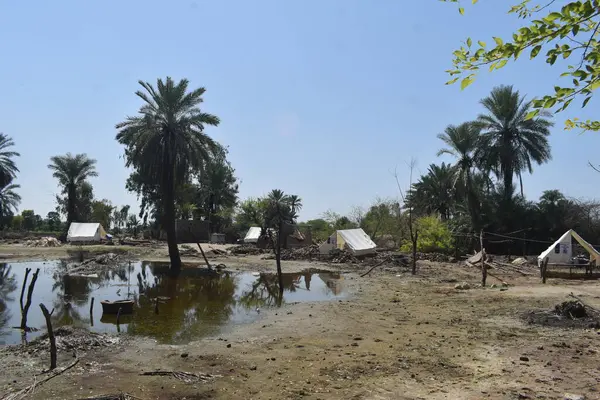 Zničující Povodně Zničily Všechny Oblasti Zemědělství Venkovských Oblastech Pákistánu — Stock fotografie