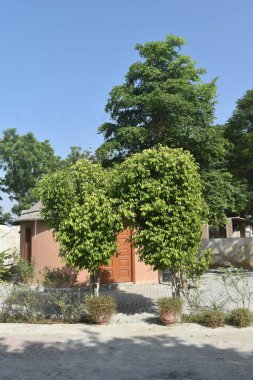 Yıkıcı seller tüm toprakları, evi ve tarımı yok etti. 