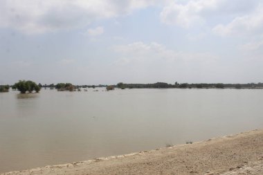 farklı bölgelerde yıkıcı sel durumu 