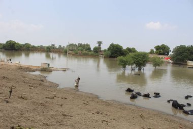 farklı bölgelerde yıkıcı sel durumu 