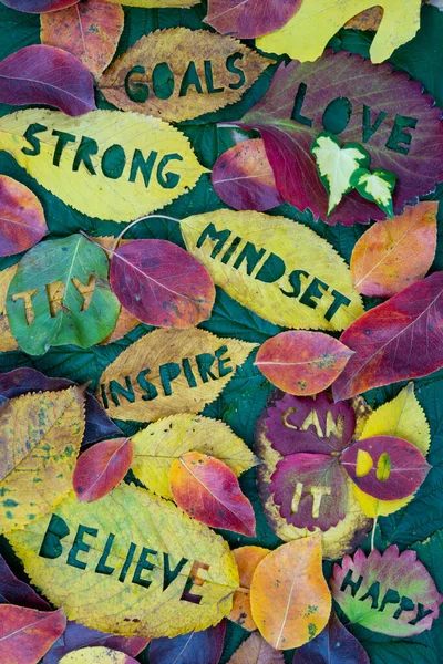 Creative Colorful Autumn Concept Self Motivation Positive Attitude Words Carved — Stock Photo, Image