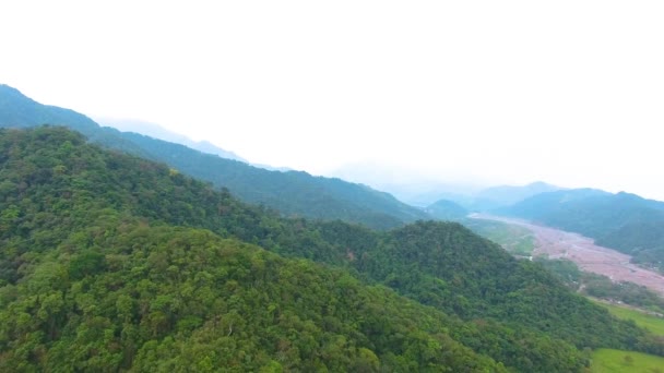 Vista Aérea Floresta Cheia Pinheiros Verdes Uma Variedade Árvores Com — Vídeo de Stock