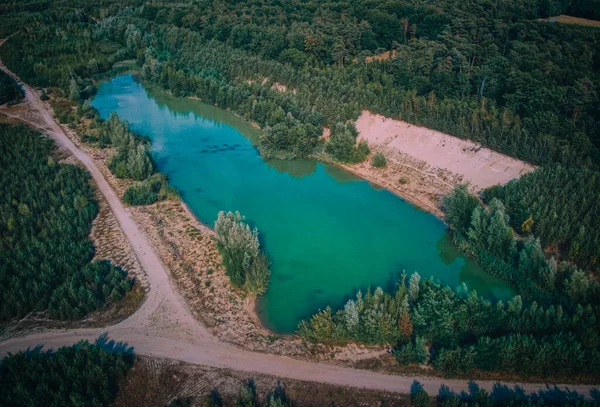 Aerial View River Forest — Stock Photo, Image