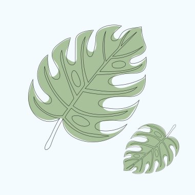 Monstera vektör çizimi ve illüstrasyon bırakır