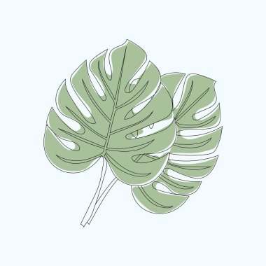 Monstera vektör çizimi ve illüstrasyon bırakır